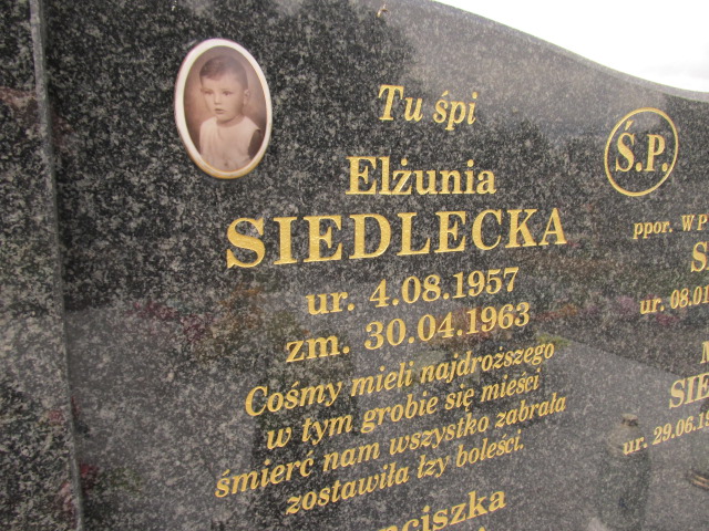 Stanisław Siedlecki 1920 Oleszyce - Grobonet - Wyszukiwarka osób pochowanych